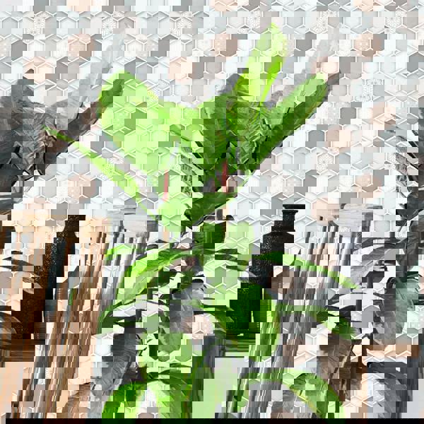 Honey  Hexa Brown Glossy 3D Tile Stickers 30.5 x 15.4cm  (12 x 6 in) - 12 pcs in a pack