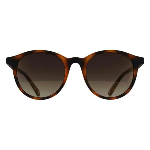 Ted Baker Sunglasses TB1503 Odell 173 Tortoiseshell Brown Gradient