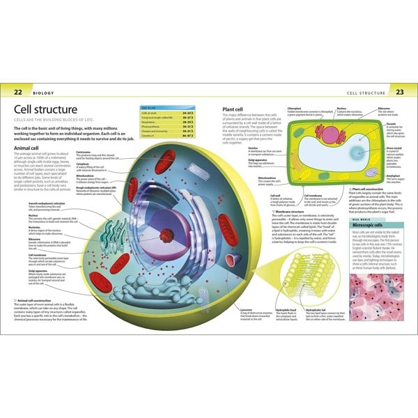 Help Your Kids with Science: A Unique Step-by-Step Visual Guide, Revision and Reference