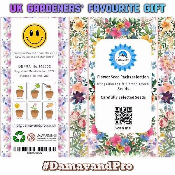 Flower seeds gift set for men and women gardeners – easy-to-grow wildflower kit