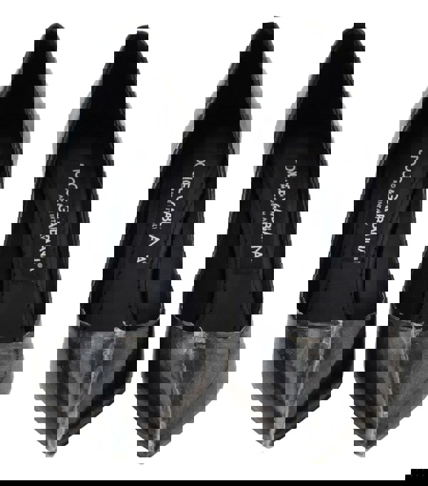 155581075.jpg
