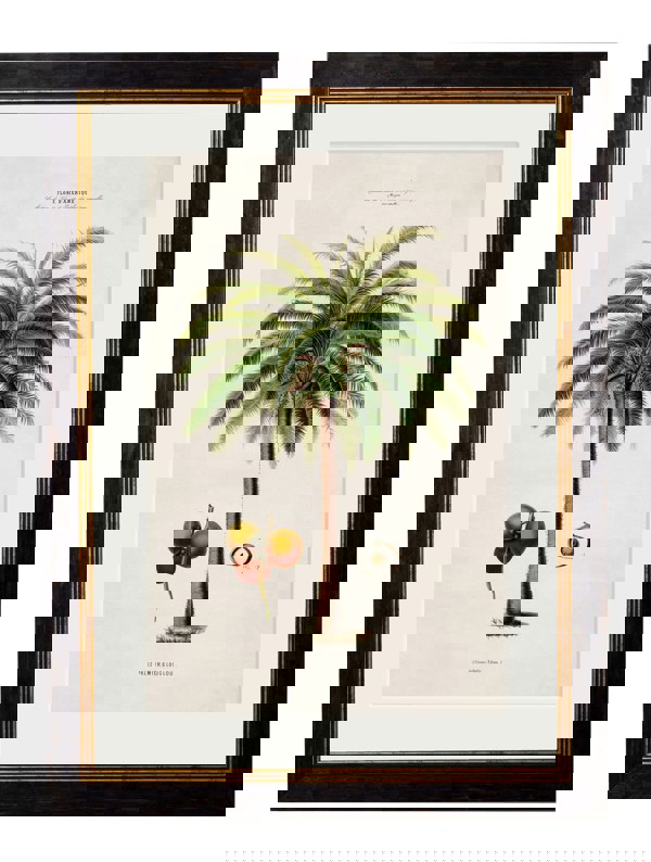 Exceptional Art c.1843 Studies of South American Palm Trees
