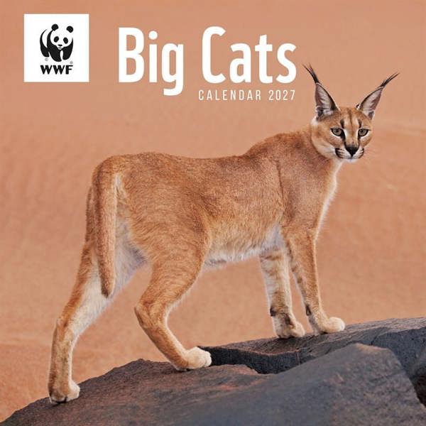WWF, Big Cats Calendar 2027, Wall Calendars, Month To View, Animals, Gift