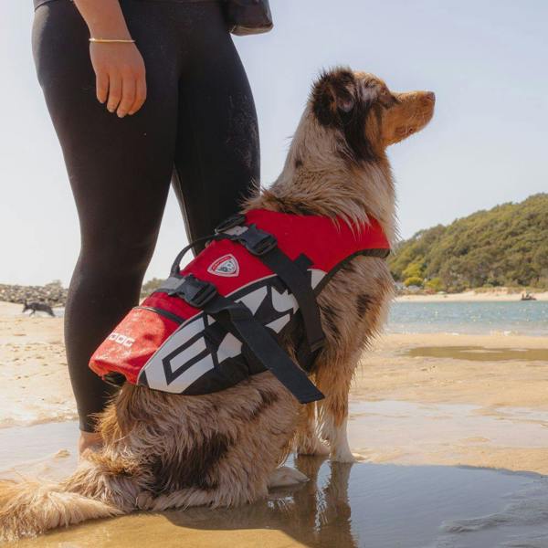 EzyDog DFD Standard Dog Life Jacket in Red