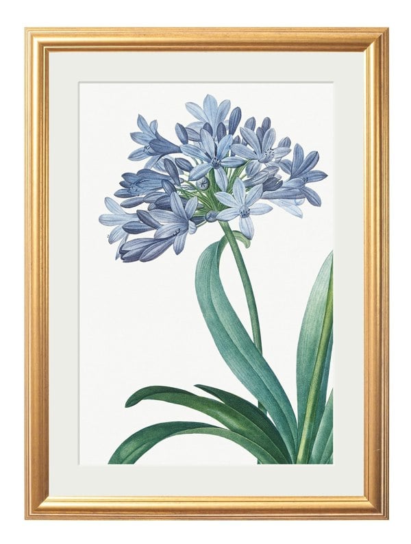 Exceptional Art Blue Floral Illustrations Set of 4 Prints