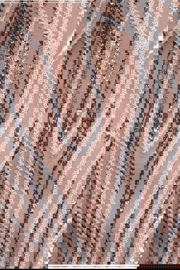 Long Sleeve Sequin Flame Maxi - Champagne DR3486