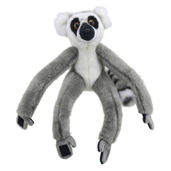 Wilberry Lemur - Canopy Climbers