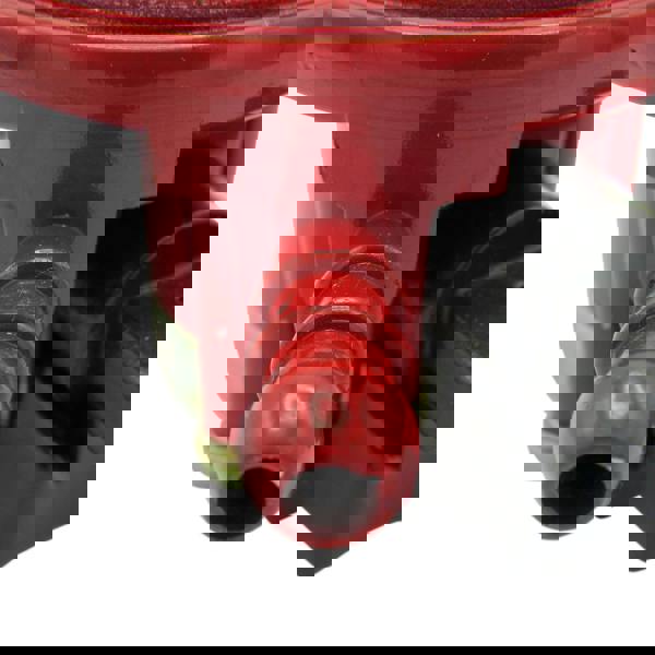 37mbar Propane Gas Regulator with Gauge (27MM Clip On Calor Patio Heater)