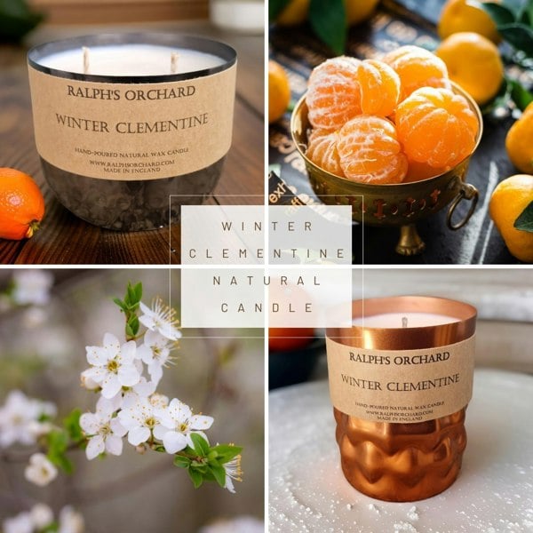 winter clementine scented candle