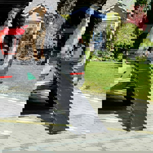 D06-184V00BK