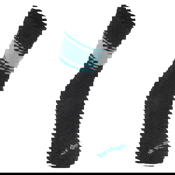 t4option1_0