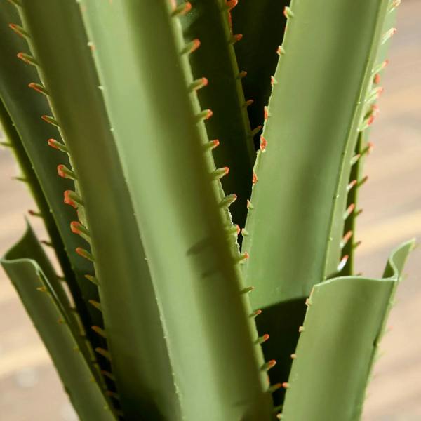 Artificial agave succulent close-up, green trunks with small red spines