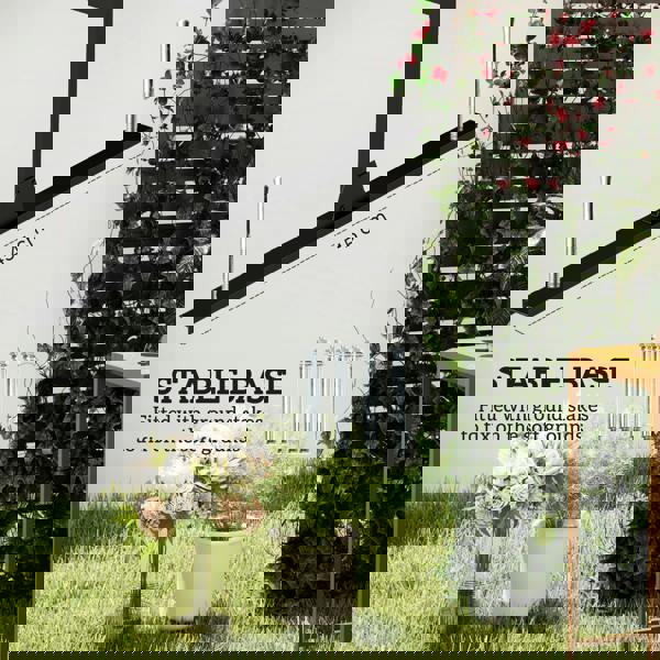 Outdoor Privacy Screen