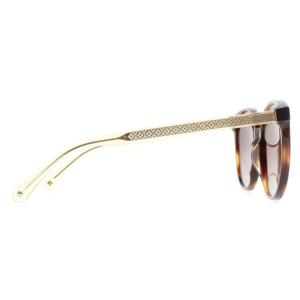Kate Spade Sunglasses Kimberlyn/G/S 086 HA Havana Brown Gradient
