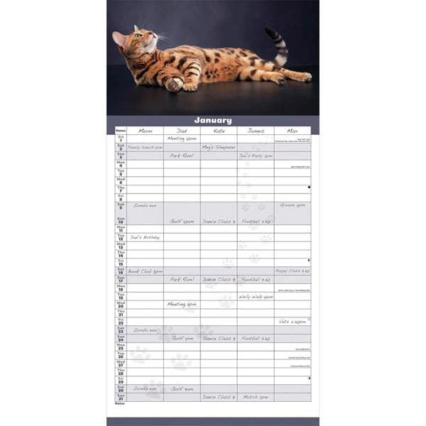 Cats Family Organiser 2027, Family Planners, Month To View, Cats, Gift