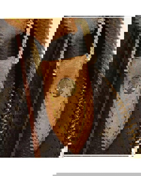 193971736.jpg