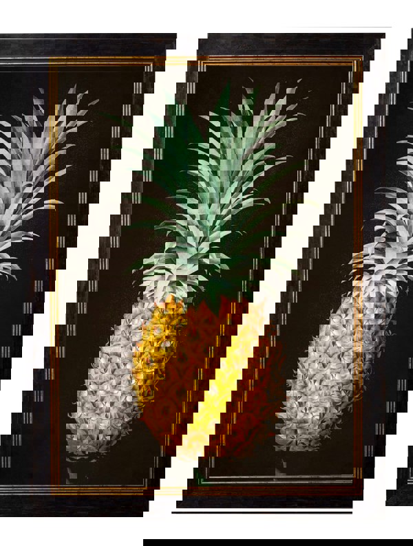 Exceptional Art c.1812 Pineapple Study (Black)