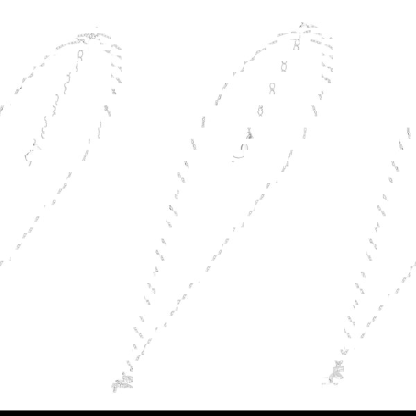 Tortoise Silver Necklace - Personalised - MYLEE London