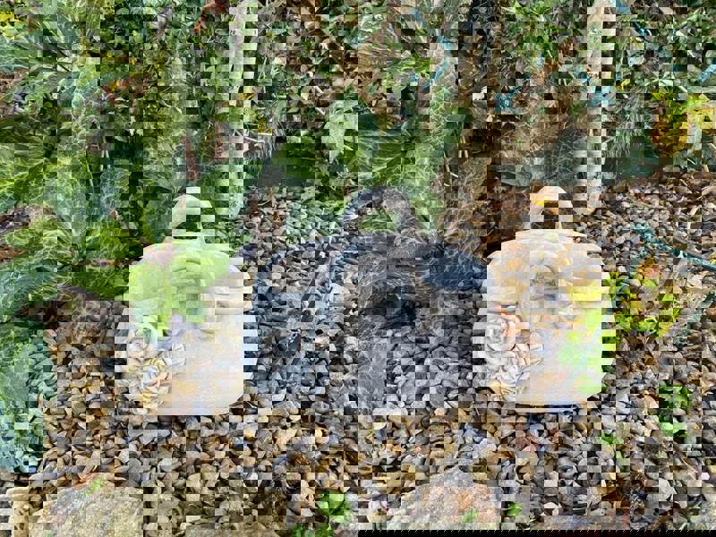 Open handbag Stone Plant Pot