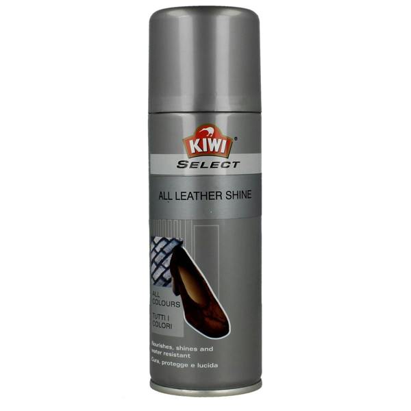 Kiwi Shoe Care Spray Collection