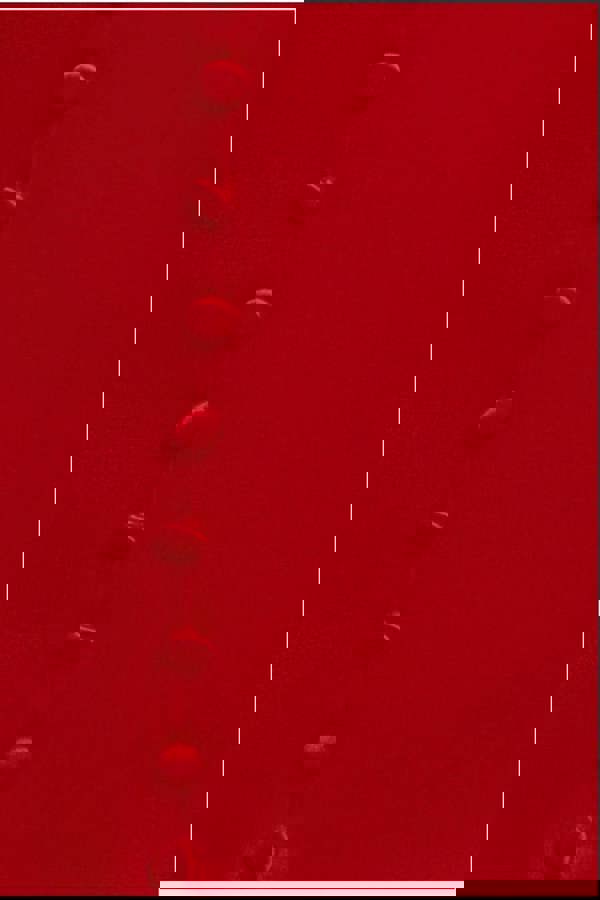 Satin Viscose Front Buttoned Dipped Hem Midaxi Dress - Red DR3899