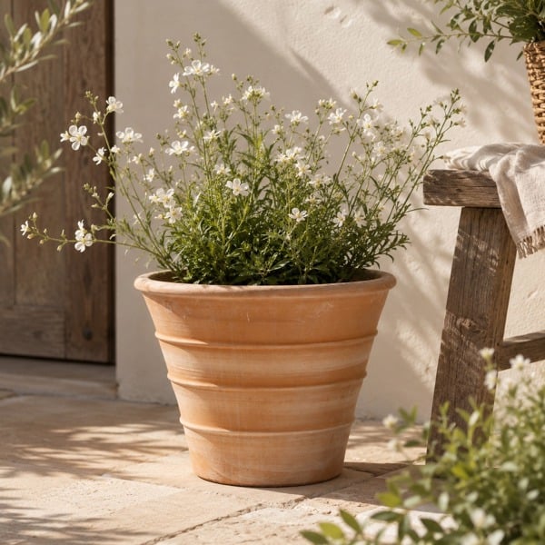 MONETA UK Classic Stunning Monachou Cretan Terracotta Planter