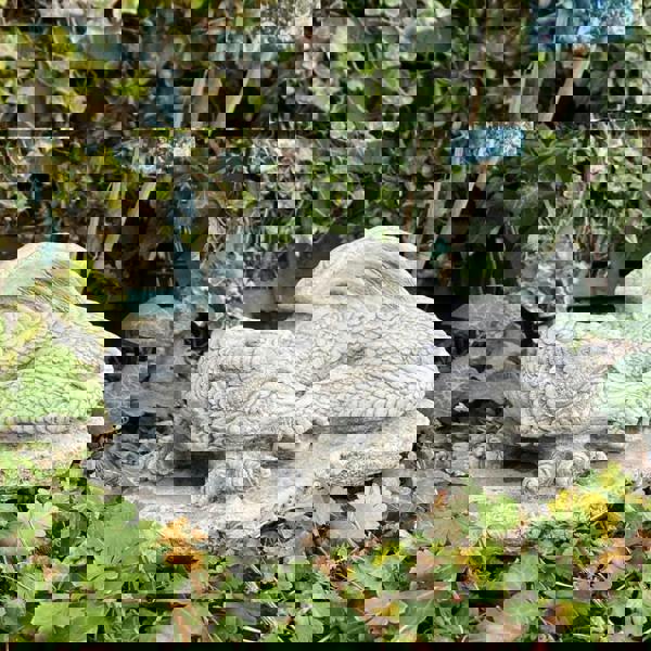 Medium Sleeping Stone cast Dragon