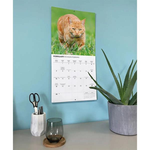 Ginger Cats Calendar 2027, Wall Calendars, Month To View, Cats, Gift