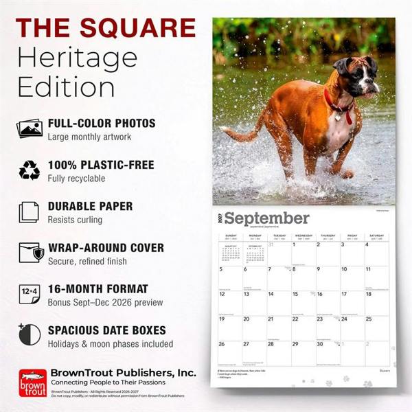 Boxers Calendar 2027, Wall Calendars, Month To View, Dogs, Gift