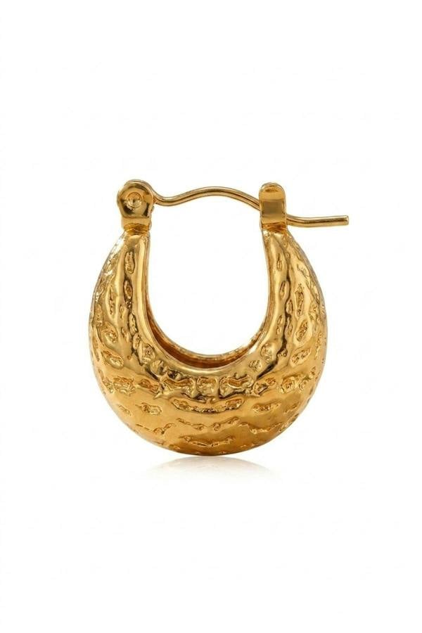 ARIIRA Tova Gold Tone Textured Crescent Hoop