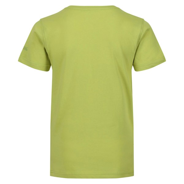 Regatta Childrens/Kids Bosley VI Hawaii T-Shirt - Green Algae