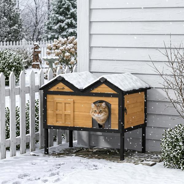 Cat House