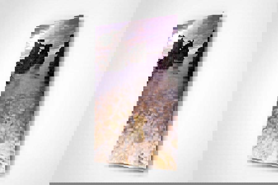 photography artwork for walls