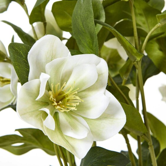 Wyld Haus Artificial Plant White Hellebore Plant In Grey Ceramic Pot