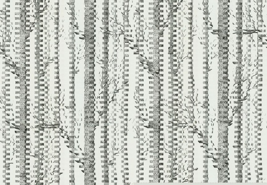 Cole & Son New Contemporary: The Woods Wallpaper Black On White 69/12147