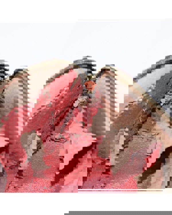 186340302.jpg