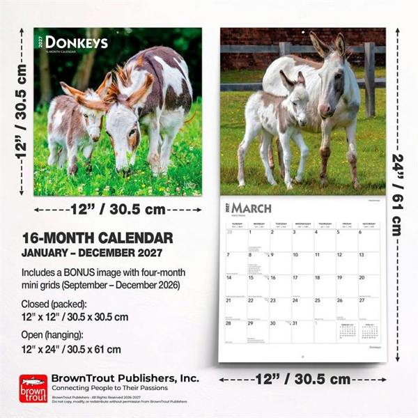 Donkeys Calendar 2027, Wall Calendars, Month To View, Animals, Gift