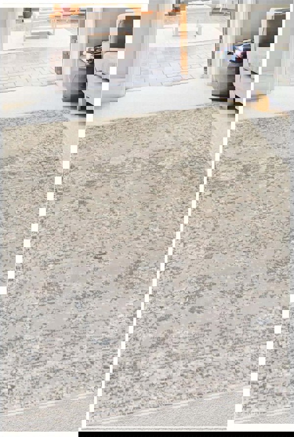 Vintage Design Area Rug in Cream – The Rugs