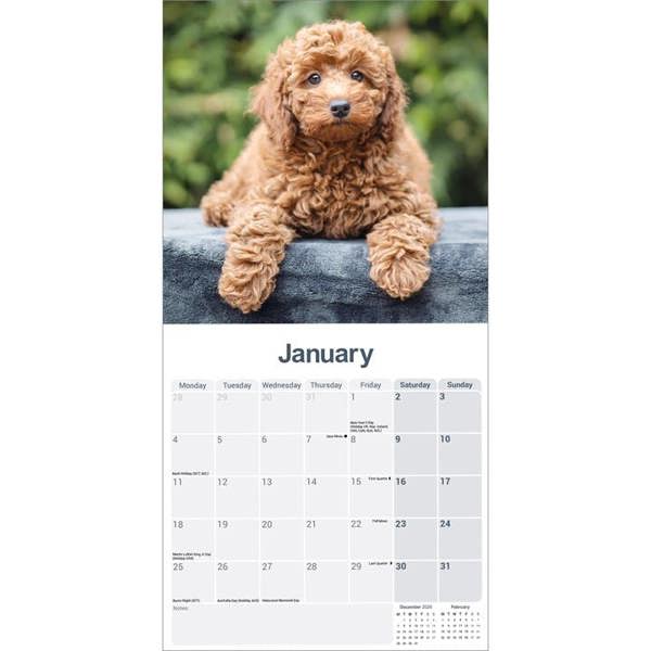 Cockapoo Puppies Calendar 2027, Wall Calendars, Month To View, Dogs, Gift