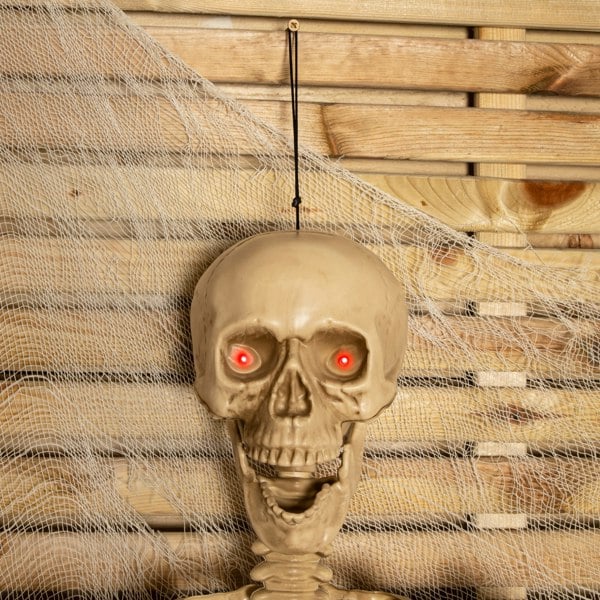 Samuel Alexander 5ft (150cm) Posable Full Body Halloween LED Skeleton Decoration with Movable Joints and LED Eyes