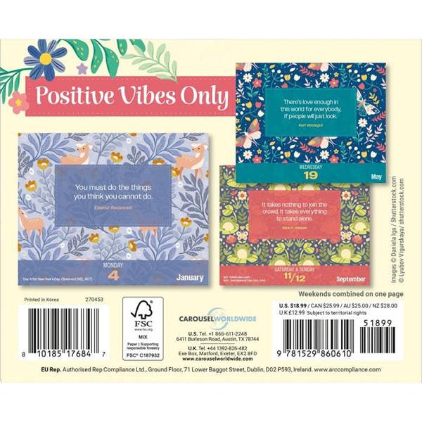 Positive Vibes Only Desk Calendar 2027, Desk Calendars, Day To View, Lifestyle, Gift