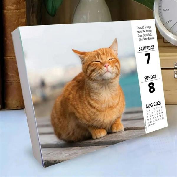 What Cats Teach Us Desk Calendar 2027, Desk Calendars, Day To View, Cats, Gift