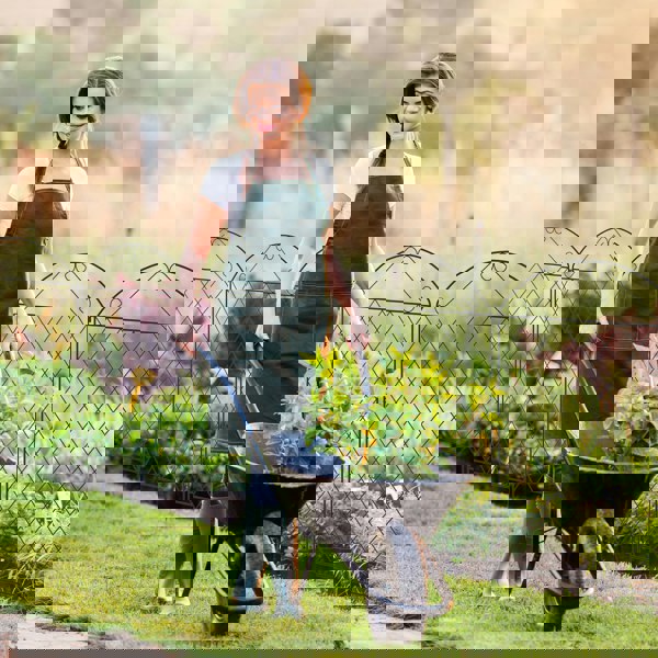 Garden Fence