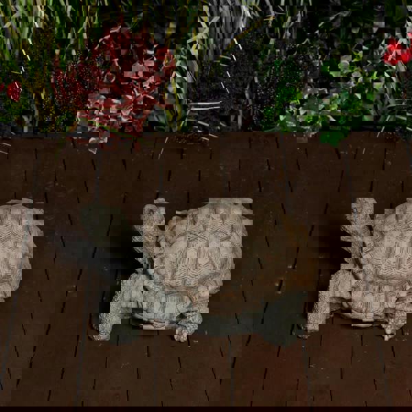 Medium Stone Cast Tortoise Garden Ornament 