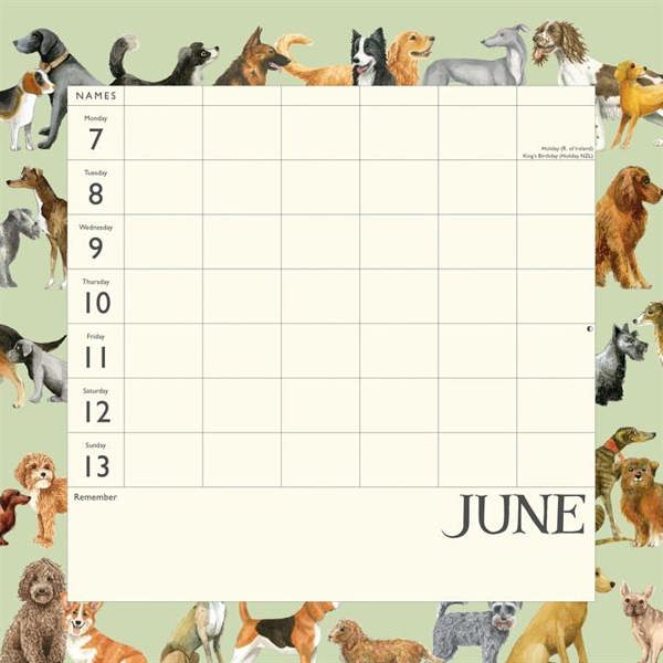 Emma Bridgewater, Dates Dinners & Dog Walks Family Organiser 2027, Family Planners, Week To View, Dogs, Gift