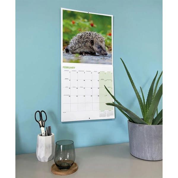 Hedgehogs Calendar 2027, Wall Calendars, Month To View, Animals, Gift