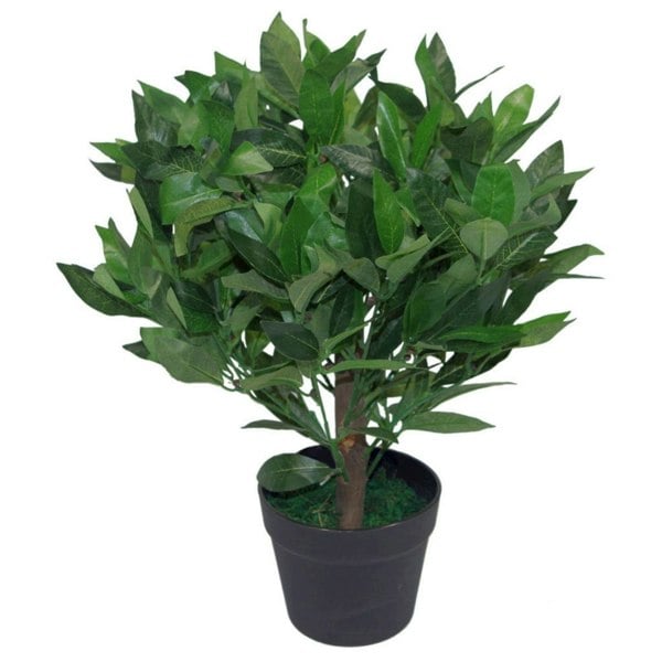 Leaf 50cm Leaf Design UK Artificial Realistic Bay Laurel Topiary Ball Tree