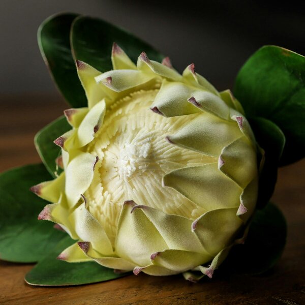 Wyld Haus Set of 3 Artificial Flowers Large White Protea