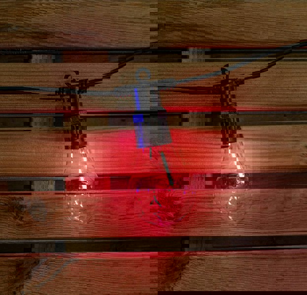 Samuel Alexander Set of 20 Indoor Outdoor Connectable Festoon Lights with Multi-Coloured LEDs