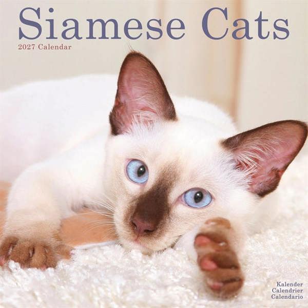 Siamese Cats Calendar 2027, Wall Calendars, Month To View, Cats, Gift